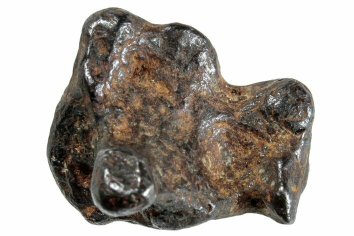 Sericho Pallasite Meteorite ( g) Metal Skeleton #267060